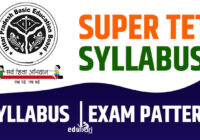Super TET Syllabus